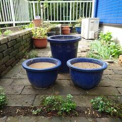 【さしあげます】中古植木鉢3点