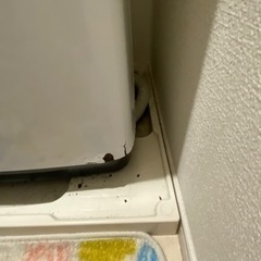 洗濯機無料で引き取ってください募集中の画像