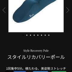 Style　リカバリーポールの画像