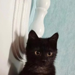 【募集いたします！】０才３ヶ月( ^ω^ )