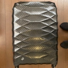 エースのスーツケース