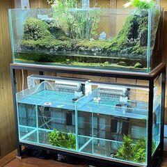 中古フレームレスワイド水槽3種の画像