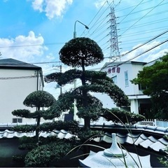 剪定作業などお庭のことならお任せください。