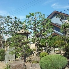 植木職人！！の画像