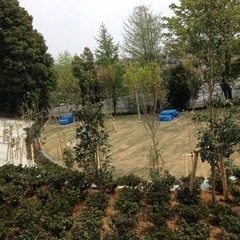 植木職人！！の画像