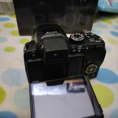  Nikon coolpix P500 の画像