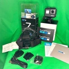 付属品完備 ヘッドマウント付 GoPro HERO7 BLACK...