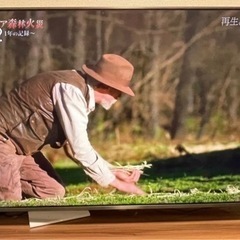 LG テレビ