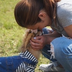 ブリーダー　アシスタント・スタッフの画像