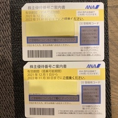 ANA株主優待券2枚セット