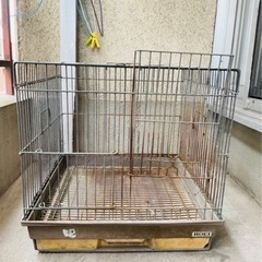 うさぎ小屋　至急お願いします！！