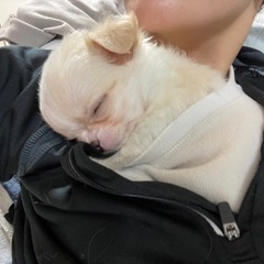 多くの問い合わせありがとうございます。一旦止めさせて貰います。