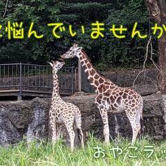 『zoomでパパママ交流会』
