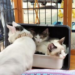 公正、公平、中立を願う人へ★ 裁判をする時は一人でも味方が多い方がいい★ - 友達