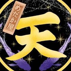 土浦花火大会　11月5日【土】めだか販売