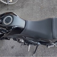 Z125pro 引き取り限定　週末値下げ