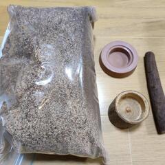 【決まりました】ノコギリクワガタ飼育セット一式
の画像