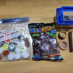 【決まりました】ノコギリクワガタ飼育セット一式
の画像