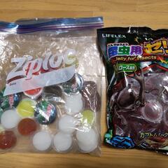 【決まりました】ノコギリクワガタ飼育セット一式
の画像