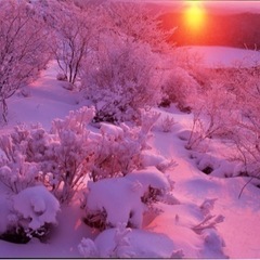 LINE写真グループです、メンバー募集中です