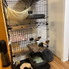 キャットタワー