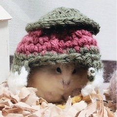 編み物友達になってくれませんか😊 - 友達