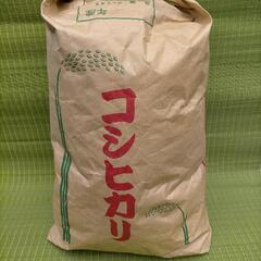 昔から東京へ行商でお届け致していました令和4年産印旛地方の美味し...