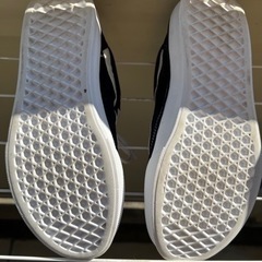 VANS (軽量)23.5の画像