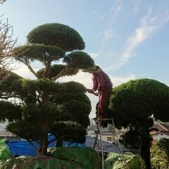 【未経験OK！！高収入★】安定したお仕事♪公共施設・民間企業などの造園スタッフ◇の画像