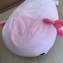 ぬいぐるみ5個の画像