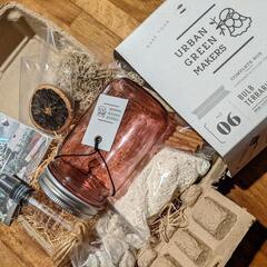 【未使用】簡単オシャレ！テラリウムキット