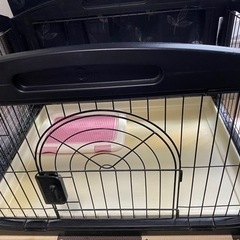 (決まりました)大きいペットゲージ