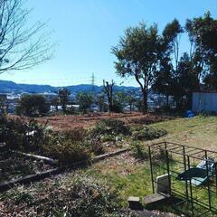 地元高知生まれ高知育ちの剪定業者です！ご依頼は地元の千樹園でどうぞ！年中無休にて営業中！無料見積りお伺い致します。宜しくお願いします。TEL　0888742287迄お願い致します。草刈り、伐採、ボウソウシート、お墓掃除、他お気軽にお問い合わせください。 - 高知市