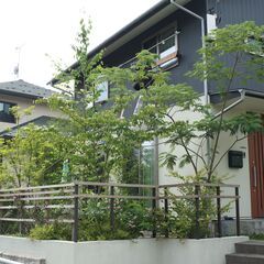 12月頃開催　樹木の新しい剪定方法　構造的剪定を学びませんか？の画像