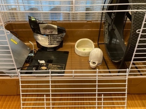 はりねずみのケージ