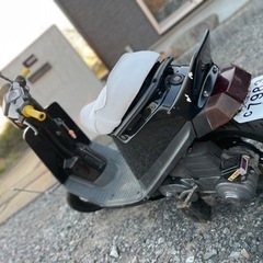 ペリカンジョグ(当時物)の画像