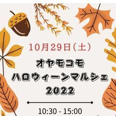 佐賀市メダカ掬い今年ラスト！