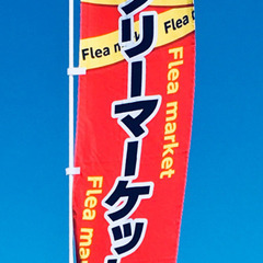 フリマ   スーパーバリュー岩槻   10月30日  メダカ  金魚