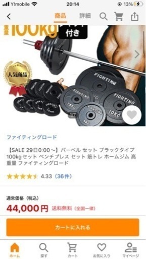 ペンチプレスセット 100kg