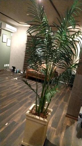 高級フェイクグリーン170cm