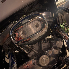11/1までの引き取り限定価格　走行4400キロ　美車　ハーレーダビットソン　スポーツスター883Lの画像