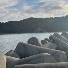 海釣り仲間募集