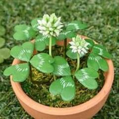 ⭐樹脂粘土工芸　花実アート教室⭐の画像