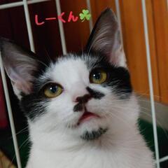 しーくん&すみくん☘️5ヶ月