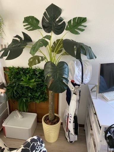モンスラ   フェイクグリーン観葉植物