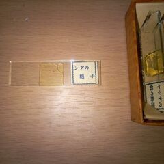 顕微鏡　レトロの画像