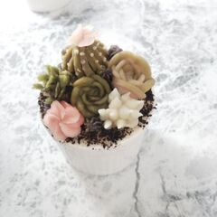 あんこで作る多肉植物の寄せ植えレッスン