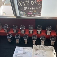めだか販売  29日、30日