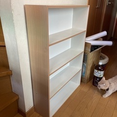 本棚の画像