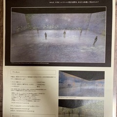 【本日10/29(土)急募】日本橋Immersive Museum - 中央区